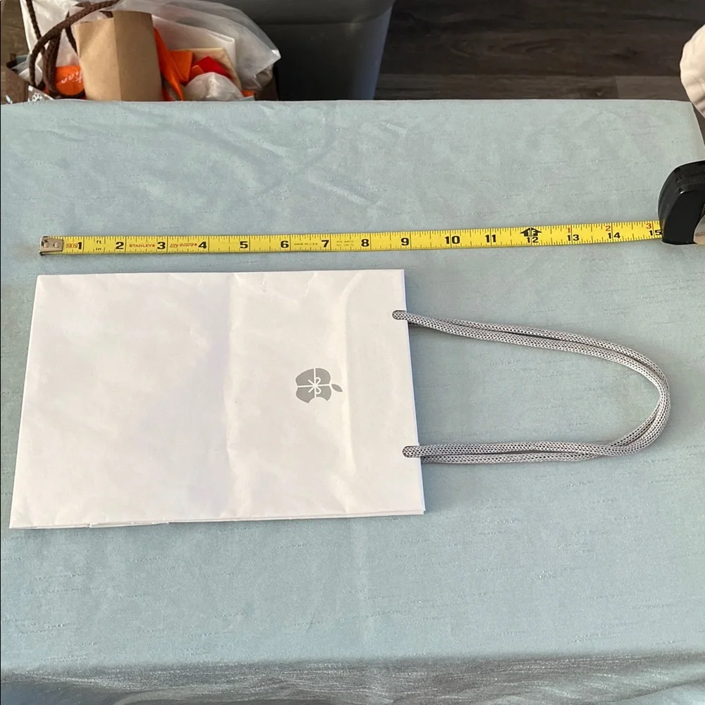 Genuine Small Apple White Store Paper Bag with Rope Gray Handles